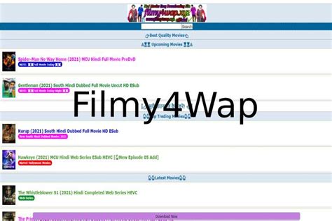 Filmy4wap 2024